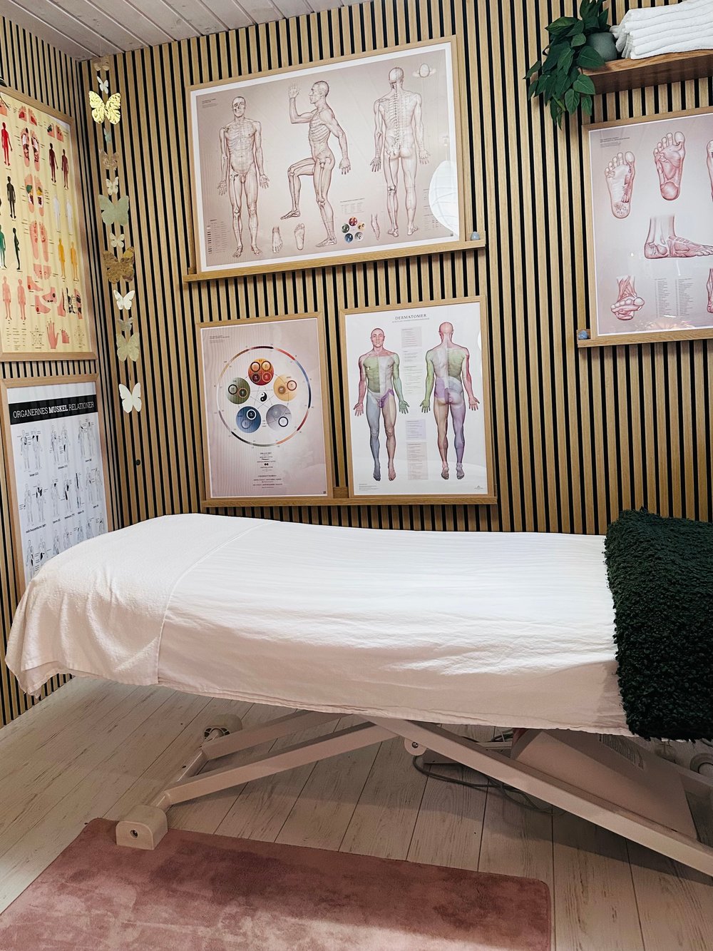 Professionel tilgang med dyb indsigt i muskler, dermatomer og zoneterapiens refleksbaner.